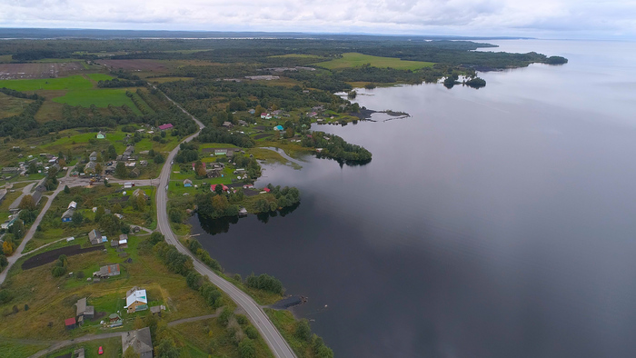 О том, к чему пришли семьи мобилизованных к весне 1917 года