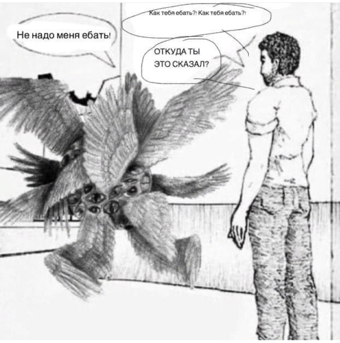 Откуда ты это сказал?