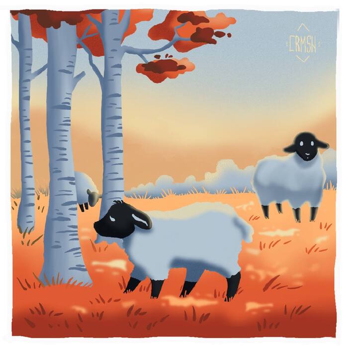 Картинка шестая, овечьки