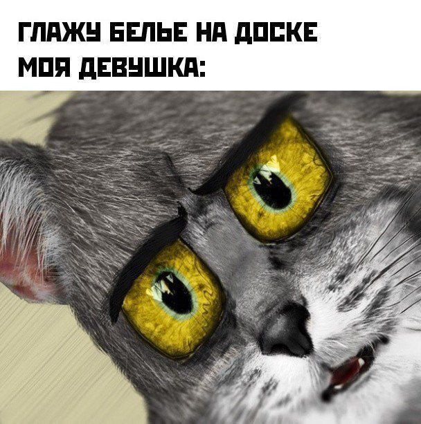 А вы всё ещё занимаетесь глажкой белья?