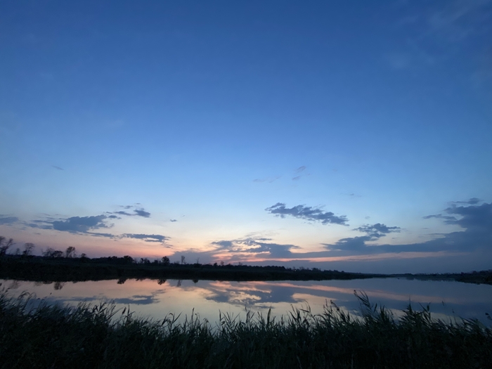 Ответ на пост «Просто хочу поделиться фотографией, которую у себя нашел а архиве»