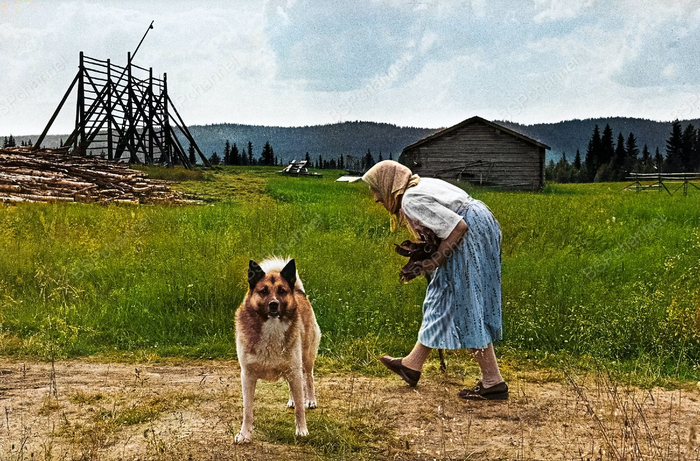 Фотограф: Суне Юнссон