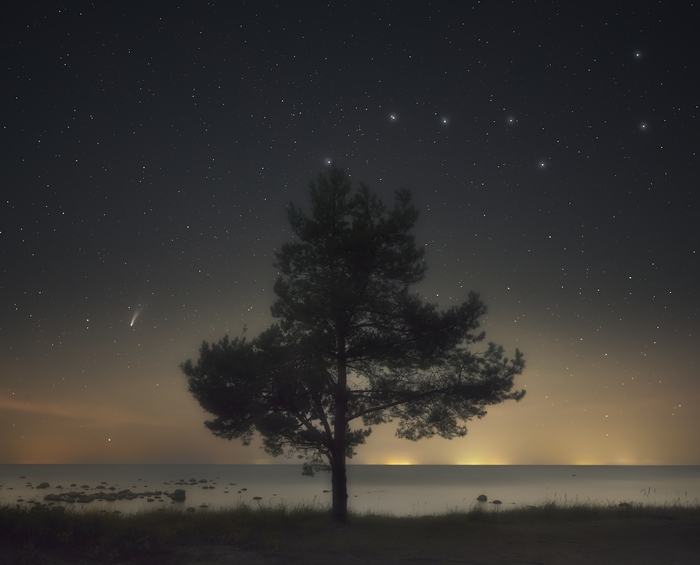 Автор фото: Алексей Марголин.