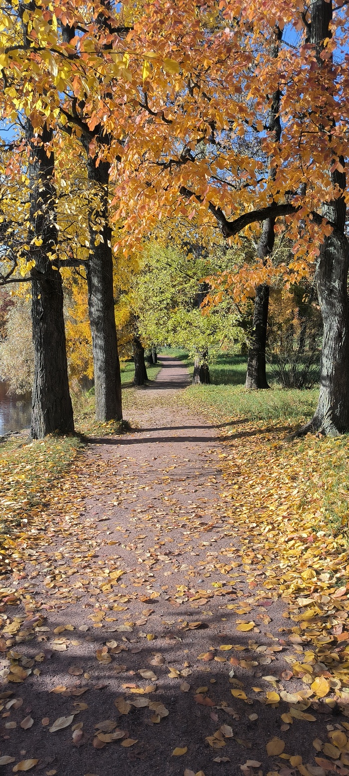 Ответ Sterzak в «Просто хочу поделиться фотографией, которую у себя нашел а архиве»