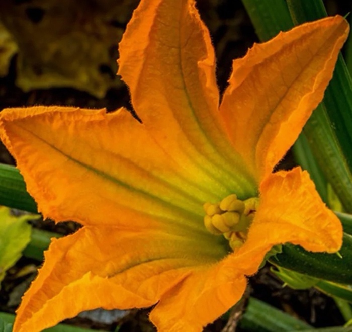 Про хеллоуин...