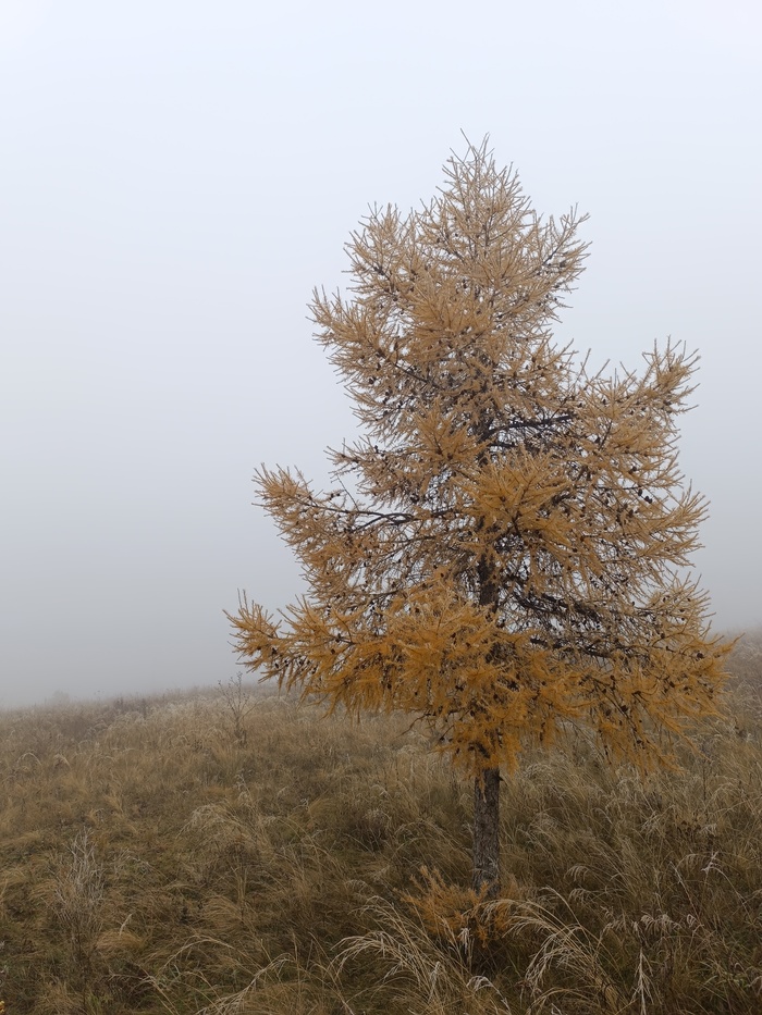 Ответ на пост «Просто хочу поделиться фотографией, которую у себя нашел а архиве»