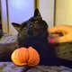 ����� ����� ������ ���� �����������