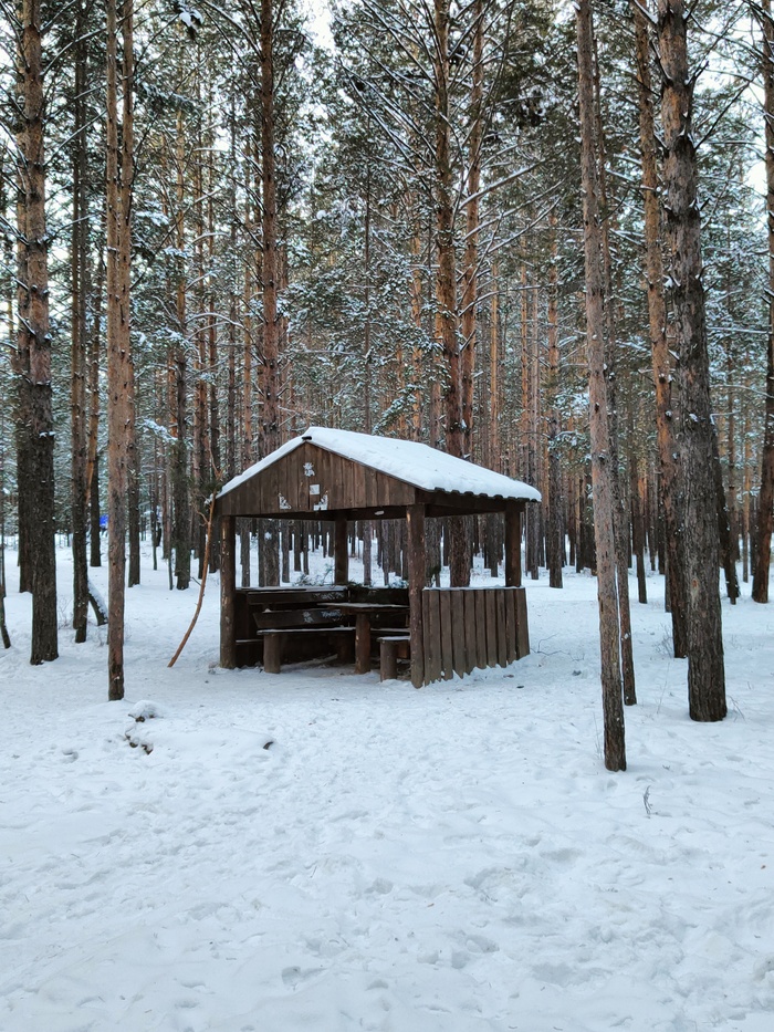 Ответ на пост «Просто хочу поделиться фотографией, которую у себя нашел а архиве»