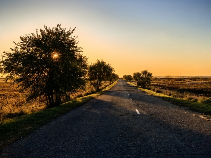 Ответ на пост «Просто хочу поделиться фотографией, которую у себя нашел а архиве»