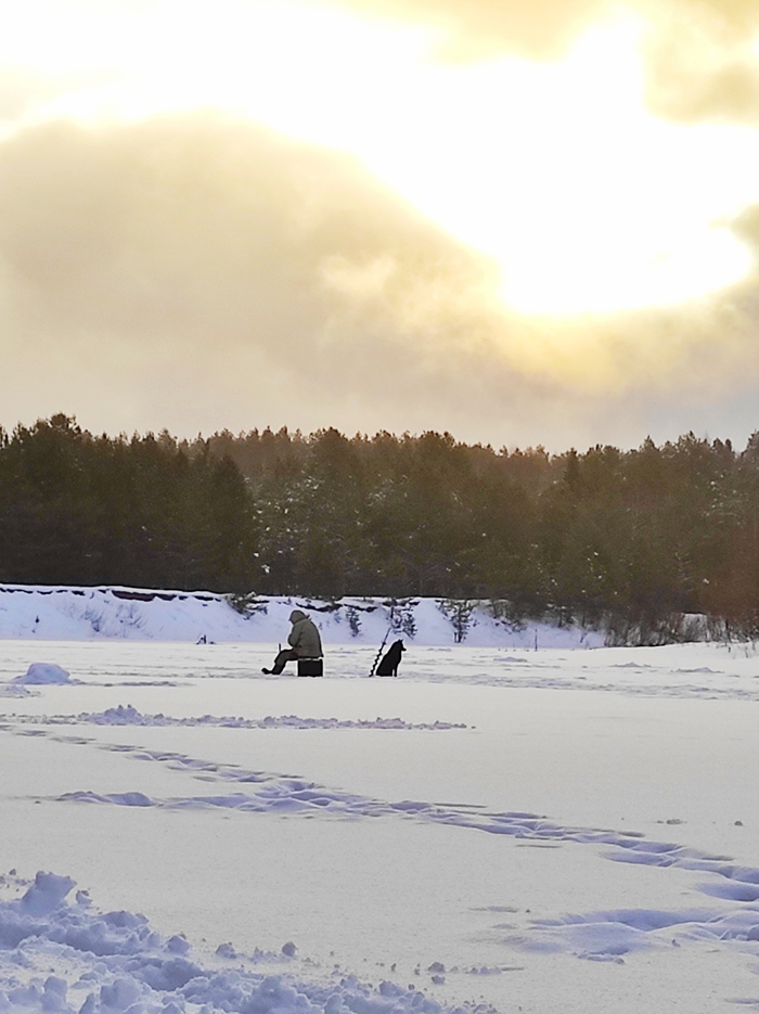 Хорошо сидят :)