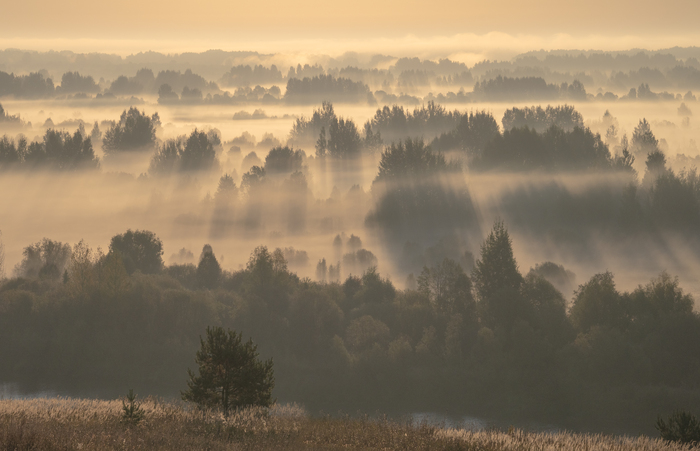 Золотой туман над Моломой