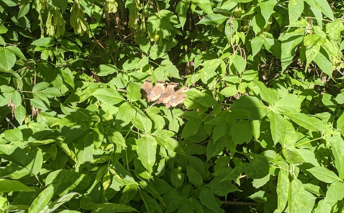 Ответ на пост «Просто хочу поделиться фотографией, которую у себя нашел а архиве»