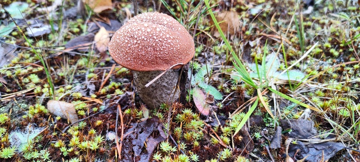Ответ StarBox в «Просто хочу поделиться фотографией, которую у себя нашел а архиве»
