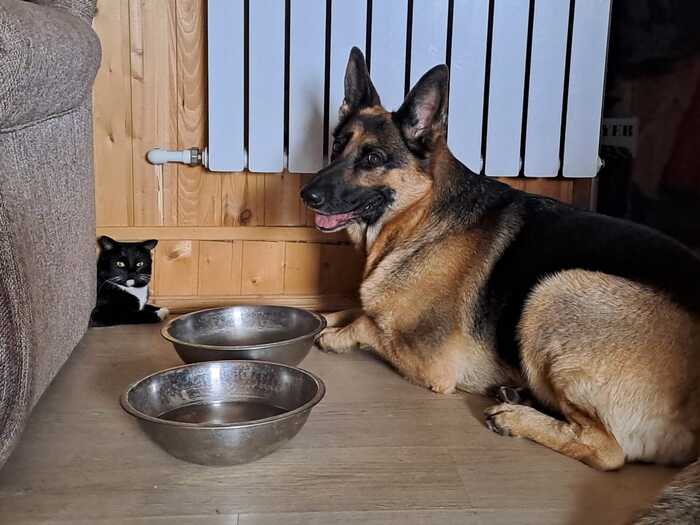 Охрана стратегических запасов