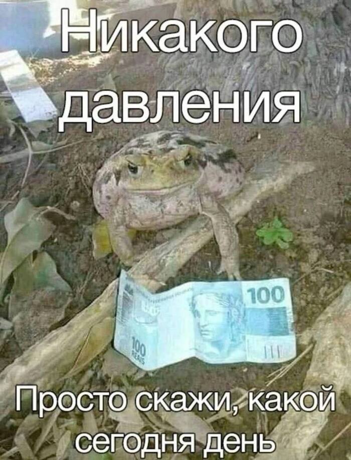 Всех со средой!