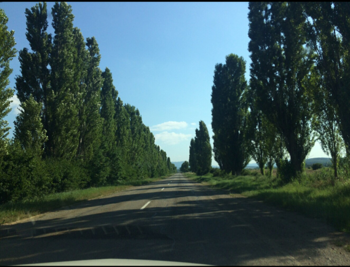 Ответ на пост «Просто хочу поделиться фотографией, которую у себя нашел а архиве»