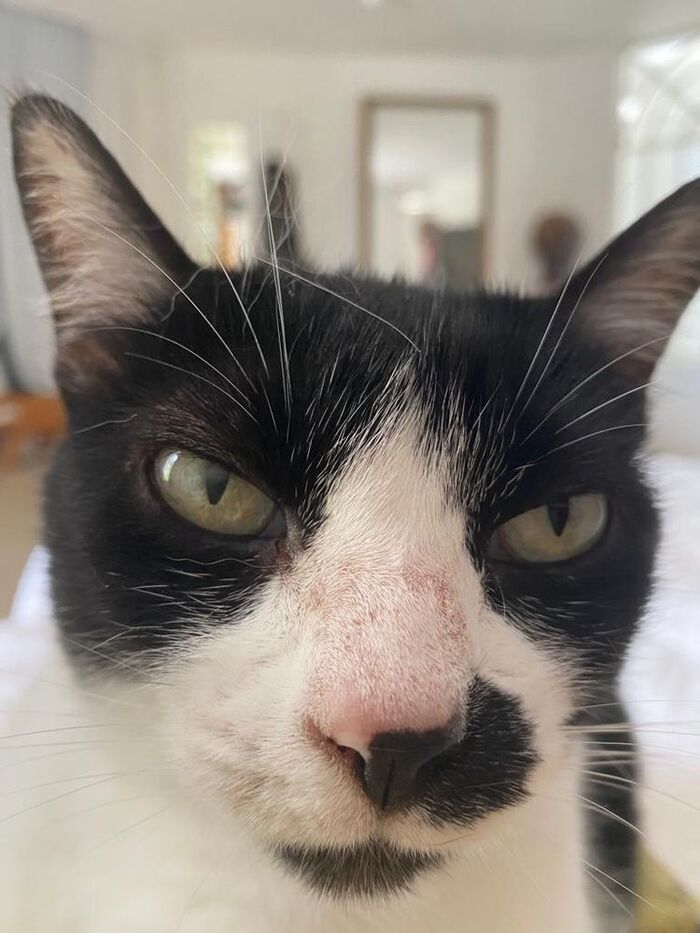 А не Голубов ли ты часом?