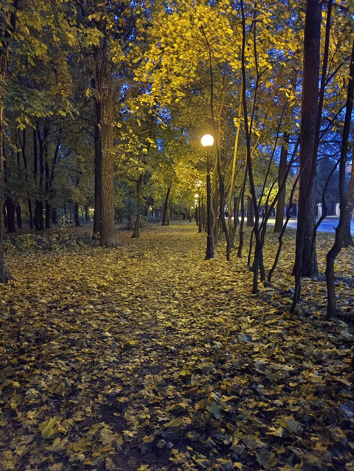 Московская осень