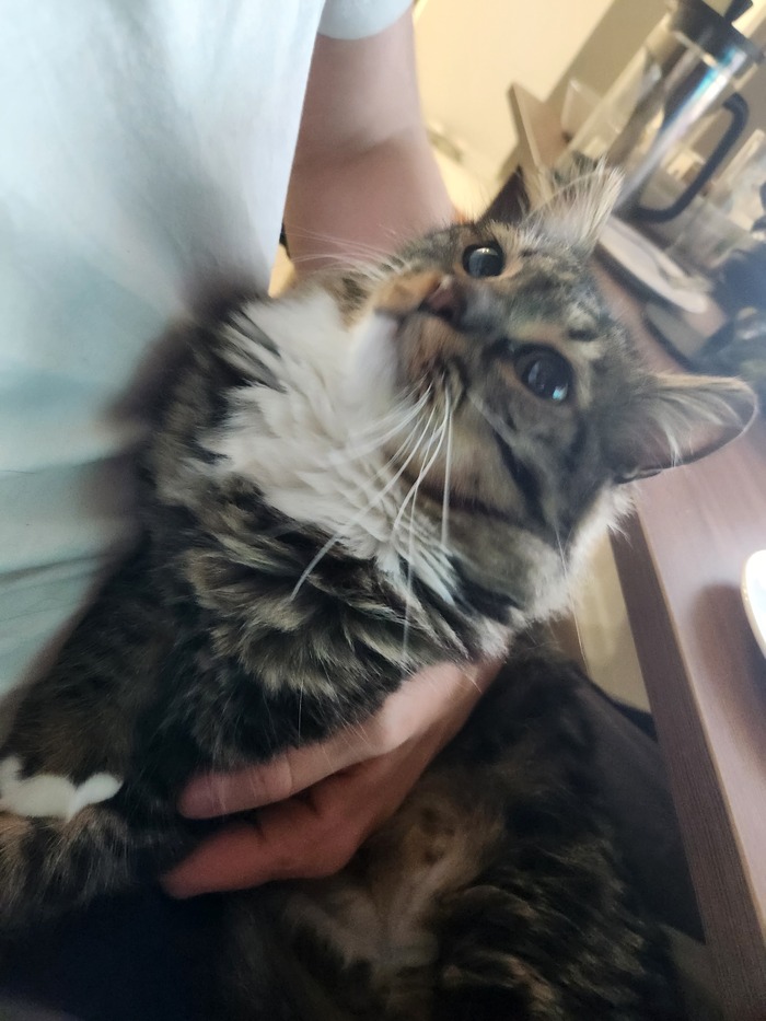 Ежедневный Рислинг #96