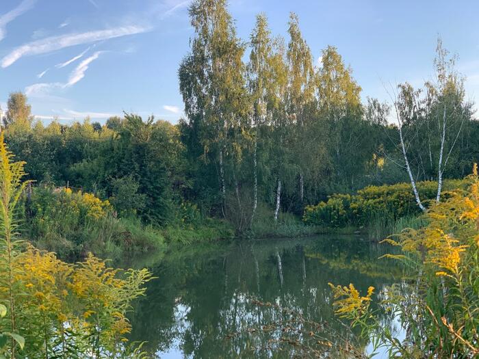 Дачное лето