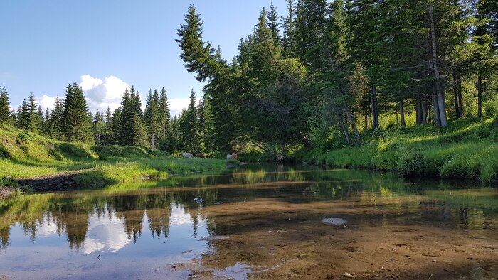Ответ на пост «Просто хочу поделиться фотографией, которую у себя нашел а архиве»