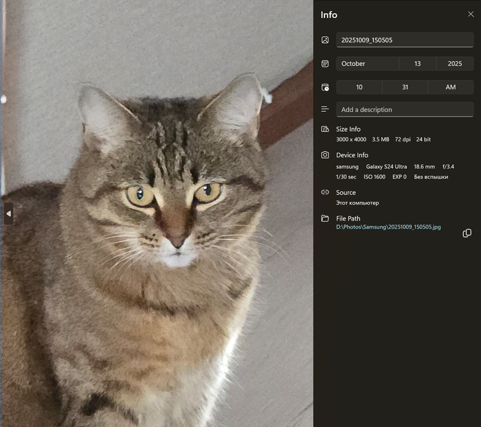 Просто какая-то каша.