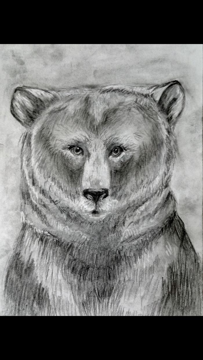 Рисую угольными карандашами