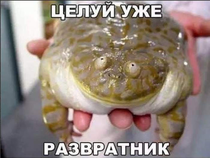 Ответ на пост «Злые и шумные оладушки»