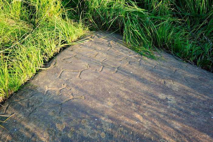 ��������� ����������