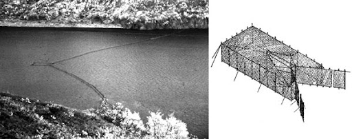 ������ ���� �������������� ������