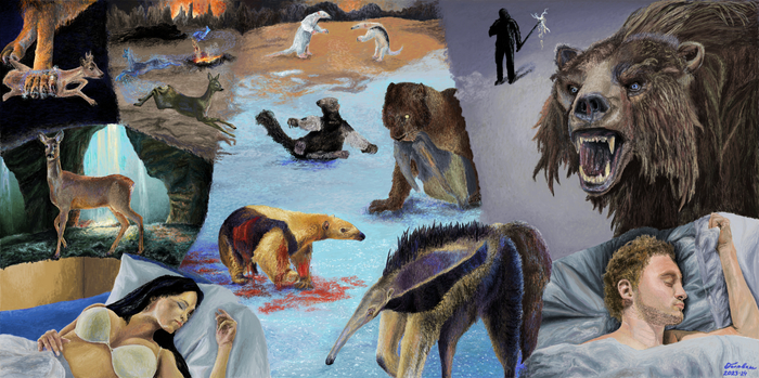      )&quot;  ,    &quot; (&quot;,   &quot;), Paint,  &quot;&quot; ( Golovan89)