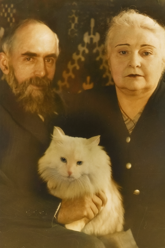  .  ()  -     ,   . 19501955.