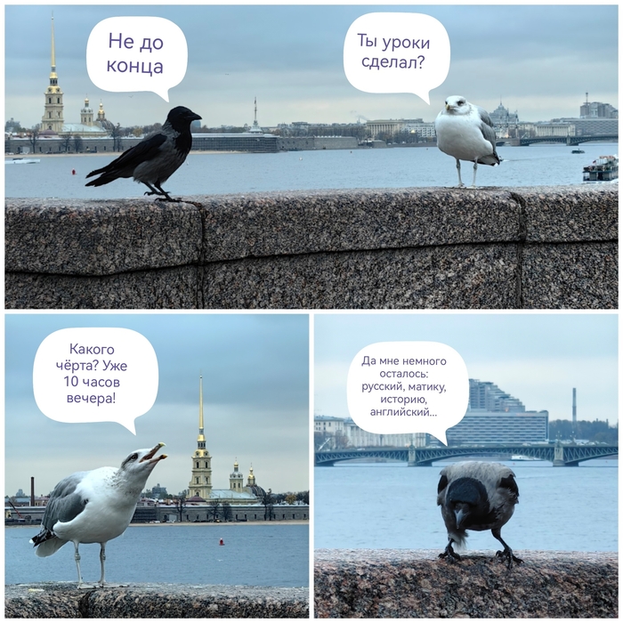 Ох уж эти деточки!