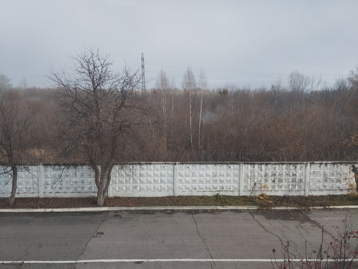 � ��� ����� �� ������ ����?