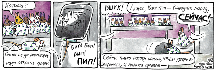 Котейкины Новости от 31.10.2025