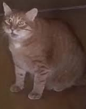 Сволота... не даст... завтра (сб)... утром... поспать