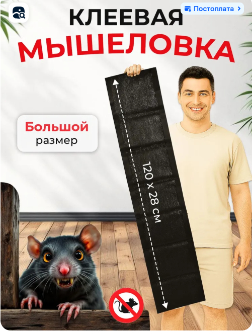 -     ,     ,       ,              .