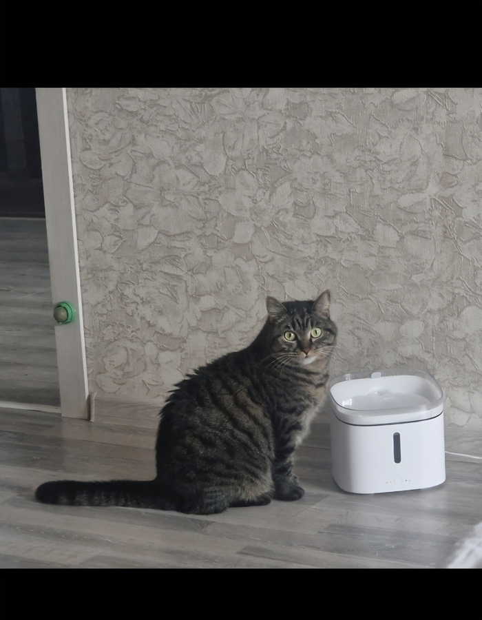 Вот такая вымахала красавица