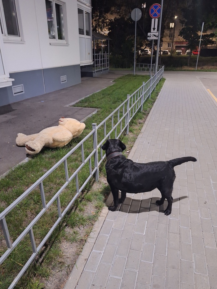 ����� ��������� ����� �������� � �������� ������� - ������� �������� �������...