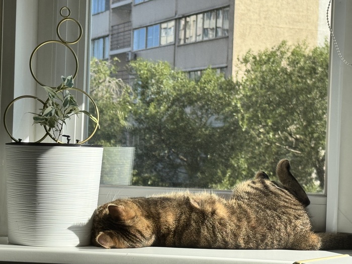 ����� �� ���� ���� ����� ������ ��� � � �������