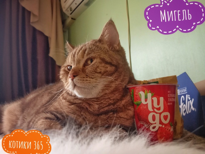 Мигель 01.11.2025