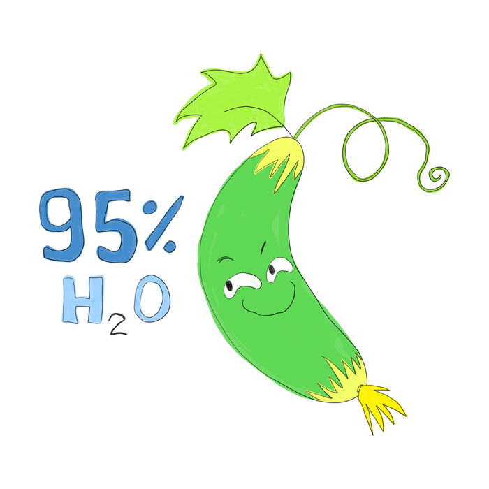 Огурец на 95% состоит из воды