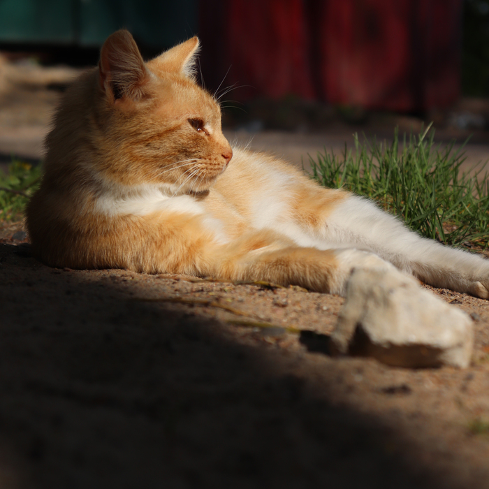 Вспоминаем лето