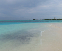 �������� ������ �����, ���� 2025