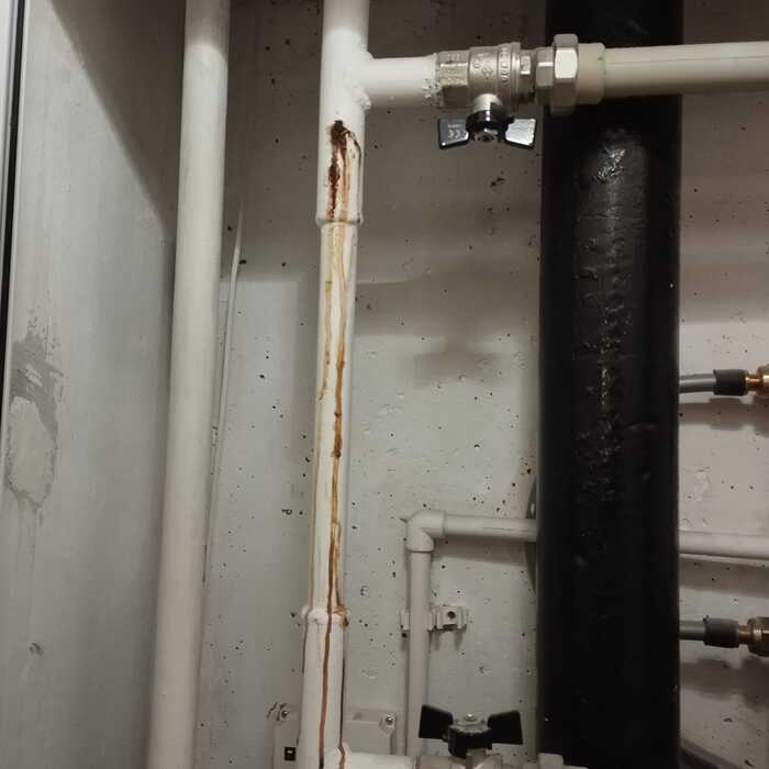 Как такое может случиться?