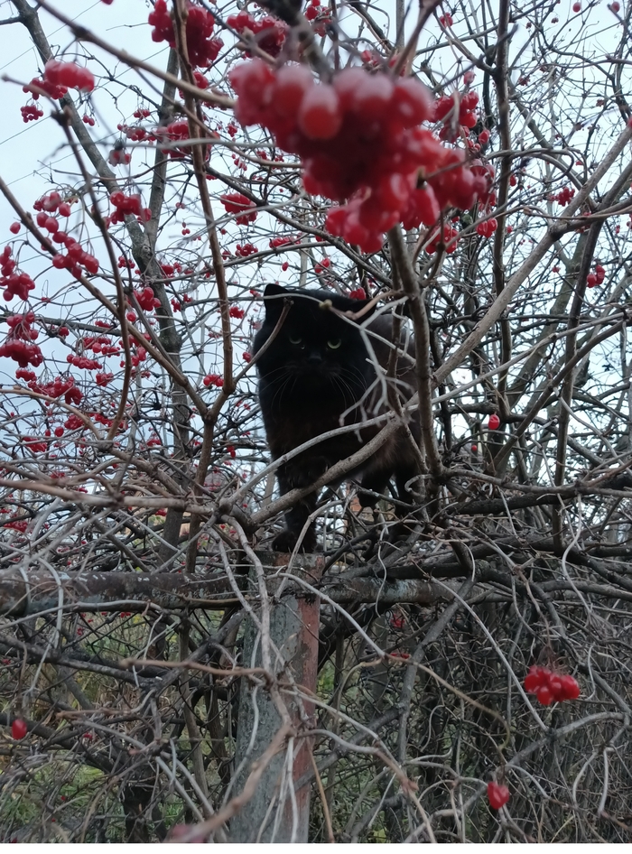 ����� �� ���� ���� ����� ������ ��� � � �������