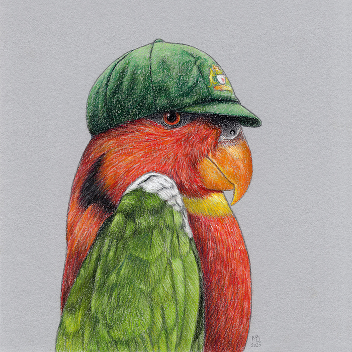 Зеленохвостый широкохвостый лори в кепке "Baggy green", 14х14 см, пастельные карандаши