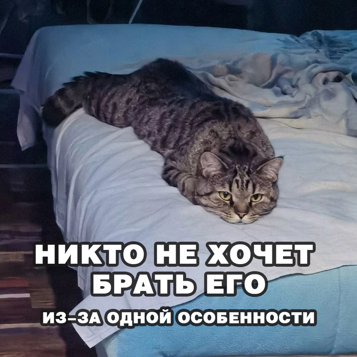 НИКОМУ ТАКОЙ НЕ НУЖЕН