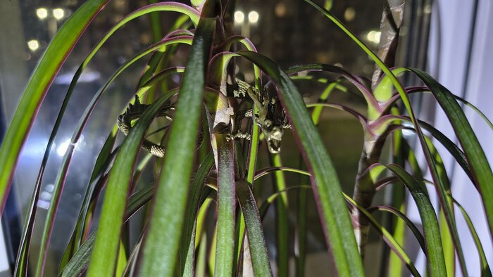      ,            .   .     .