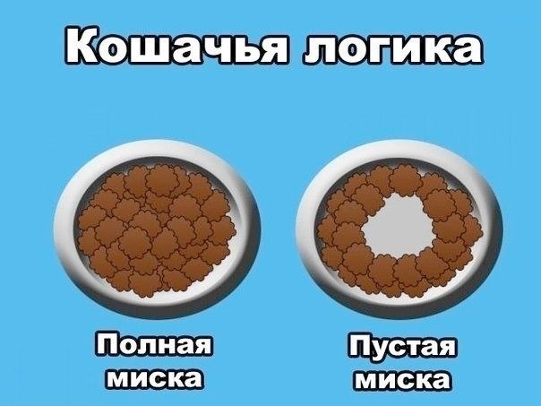 Логика